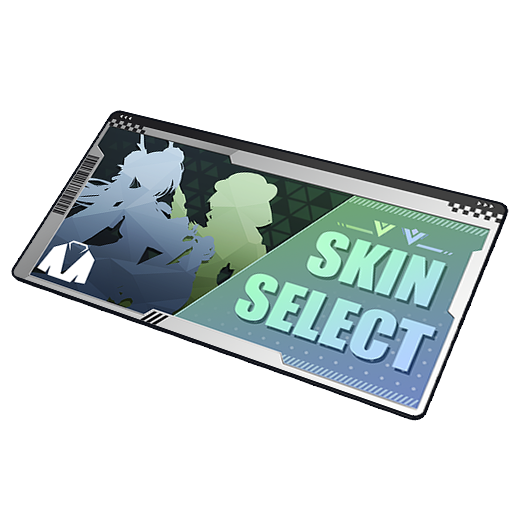 高級/稀有造型選擇卷